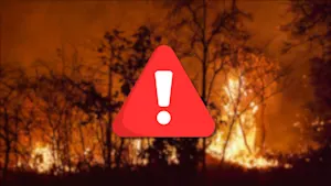 Evacuation orders issued for Nova Scotia wildfires