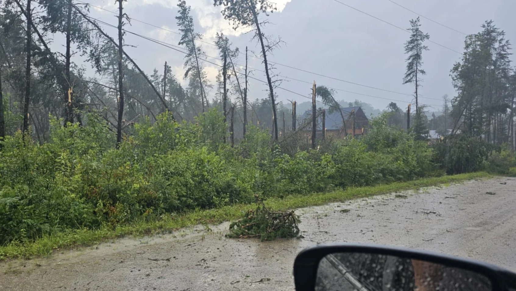 Hail, Storm, Rain, Thunderstorm, Trees, Fall, July 24, 2025. (Sent to MeteoMedia by Miguel Hatin)