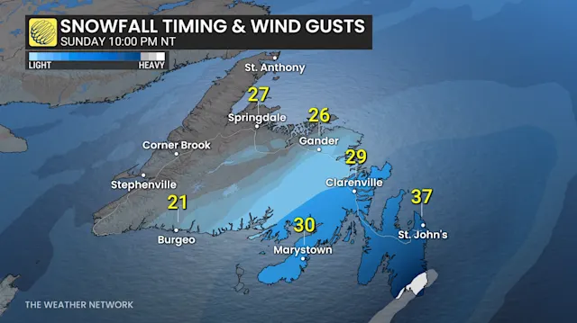 Disruptive Newfoundland winter storm could result in significant travel ...