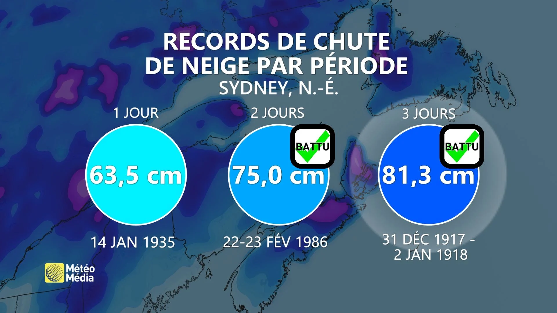 NEIGE RECORD 1