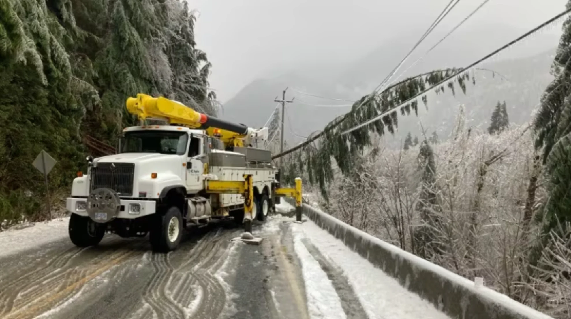 Winds, downed trees knock out power to thousands in northern B.C., Van. Island