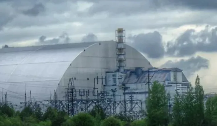 Tchernobyl, voyez ce qui reste de la faune 30 ans plus tard