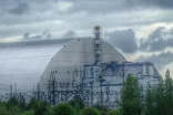 Tchernobyl, voyez ce qui reste de la faune 30 ans plus tard