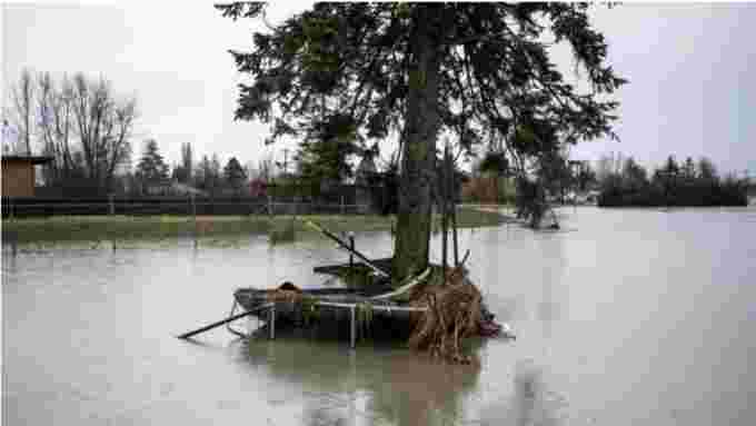 CBC: A trampoline is pictured wrapped around a tree in the Sumas Prairie flood zone in Abbotsford, B.C. Even though rains eased in the drenched province, flood warnings remain in place for many parts of southwest B.C. (Ben Nelms/CBC)