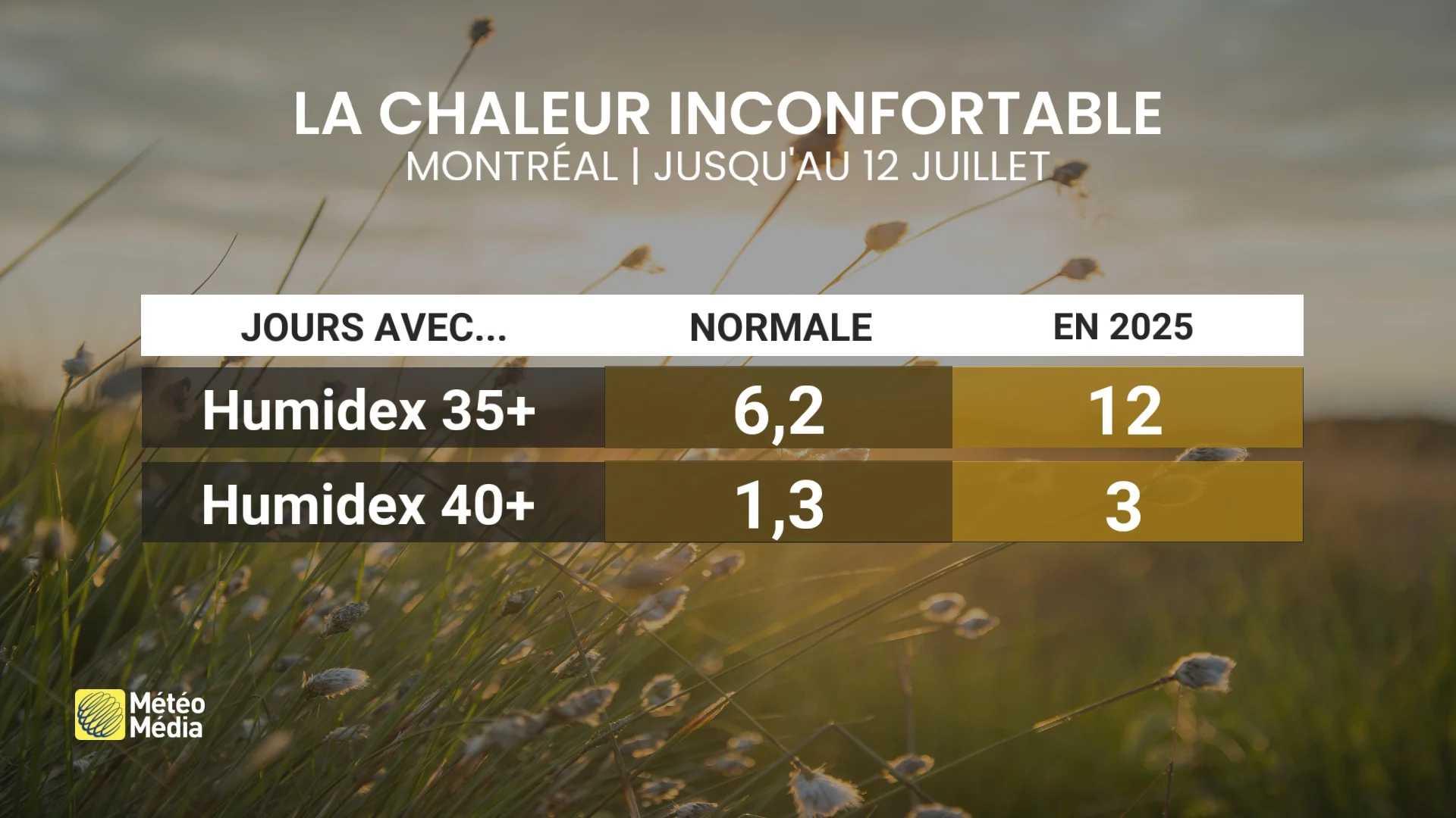 CANICULE 4