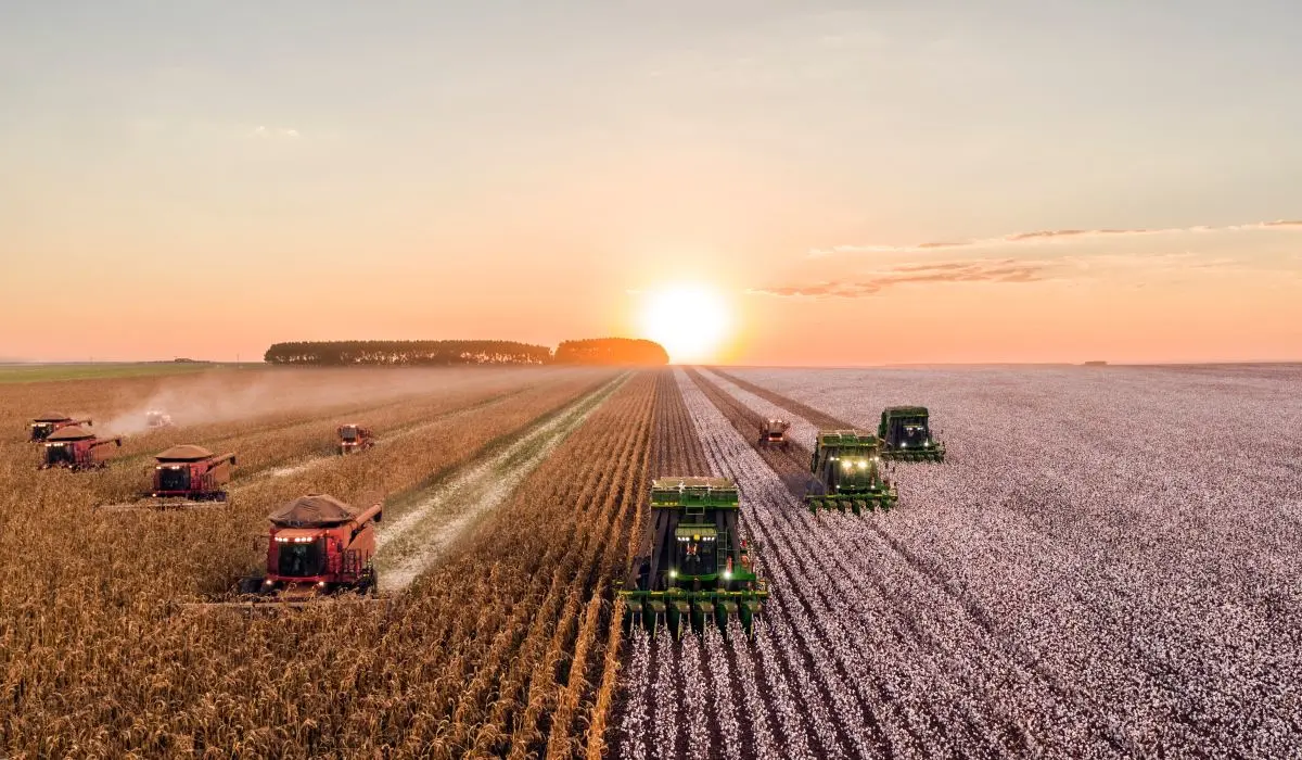 L’agriculture canadienne pourrait bénéficier du réchauffement climatique