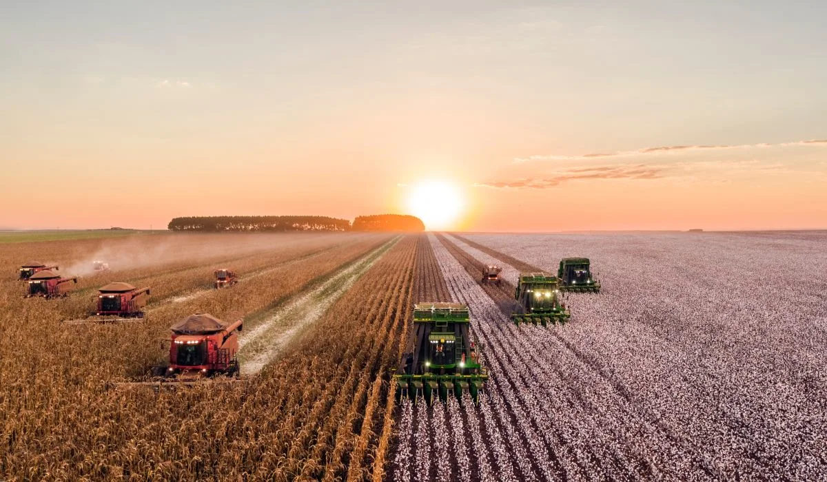 L’agriculture canadienne pourrait bénéficier du réchauffement climatique