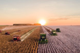 L’agriculture canadienne pourrait bénéficier du réchauffement climatique