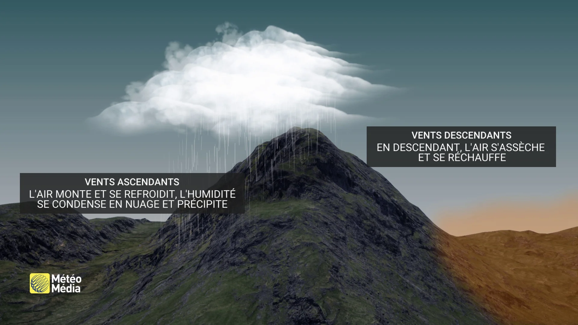 FOEHN4
