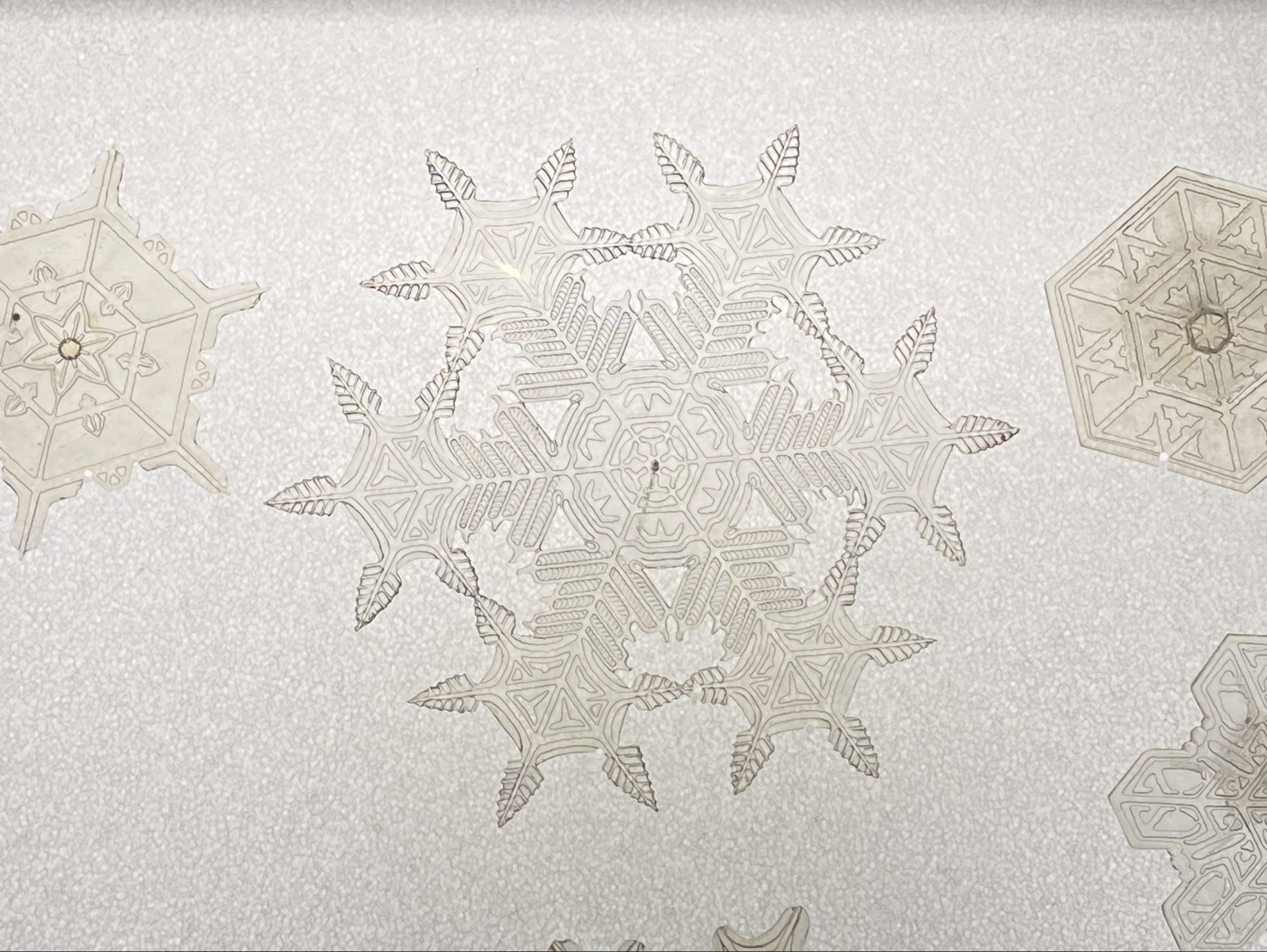 Nathan Coleman: These intricate models of snow crystals were created by Edwin Reiber for the Cranbrook Institute of Science (Michigan). The models were the "first accurate models of snow crystals" 2
