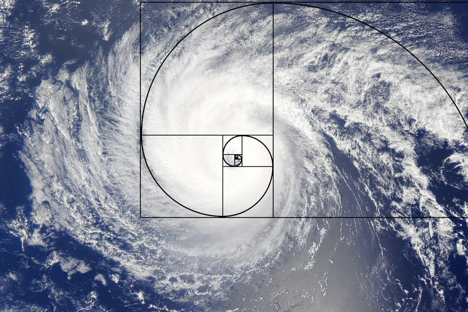 lester amo 2016245 Fibonacci