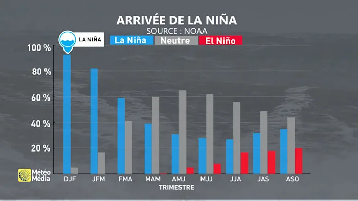 NINA1 (1)