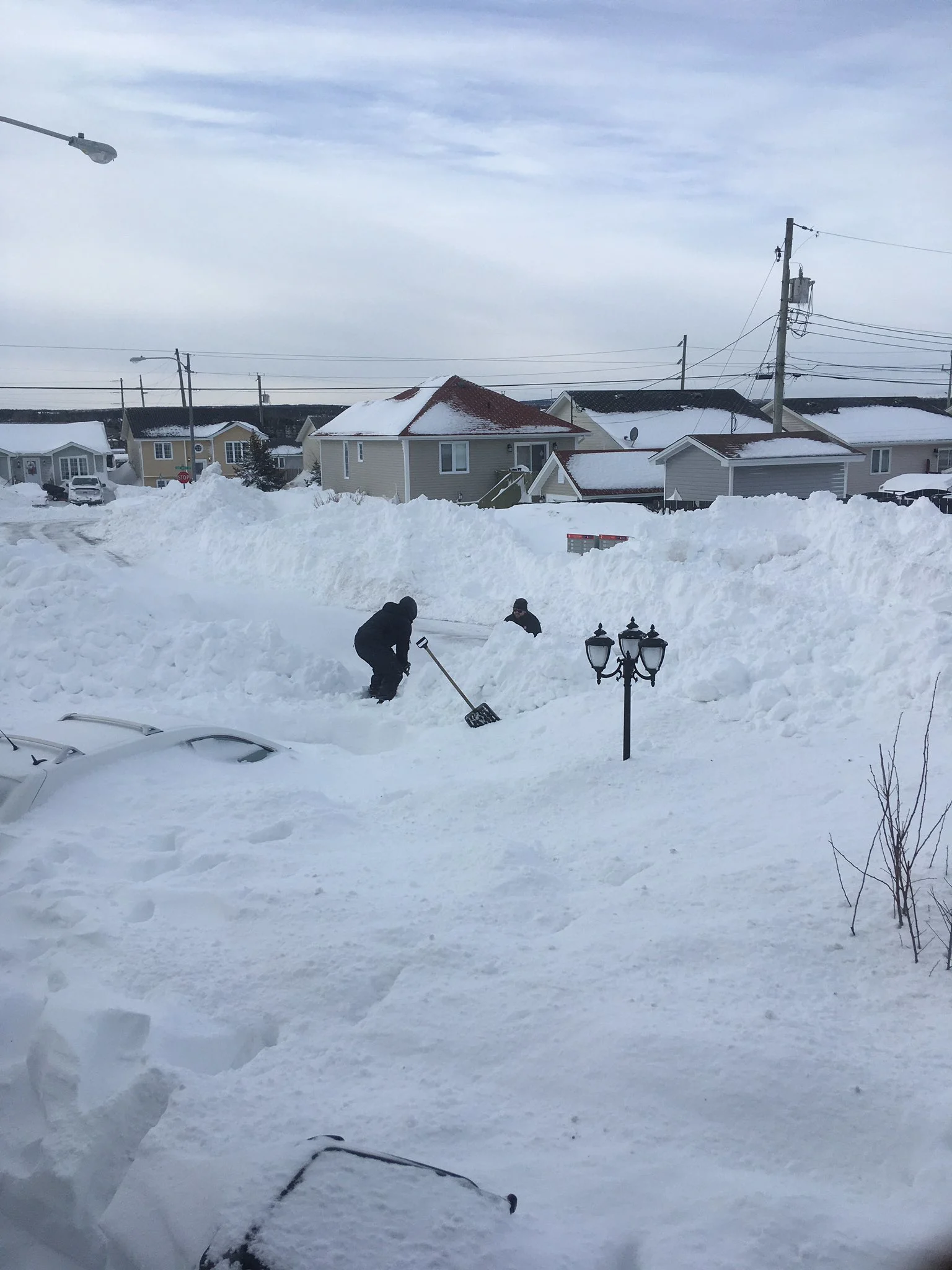 Newfoundland snow/UGC