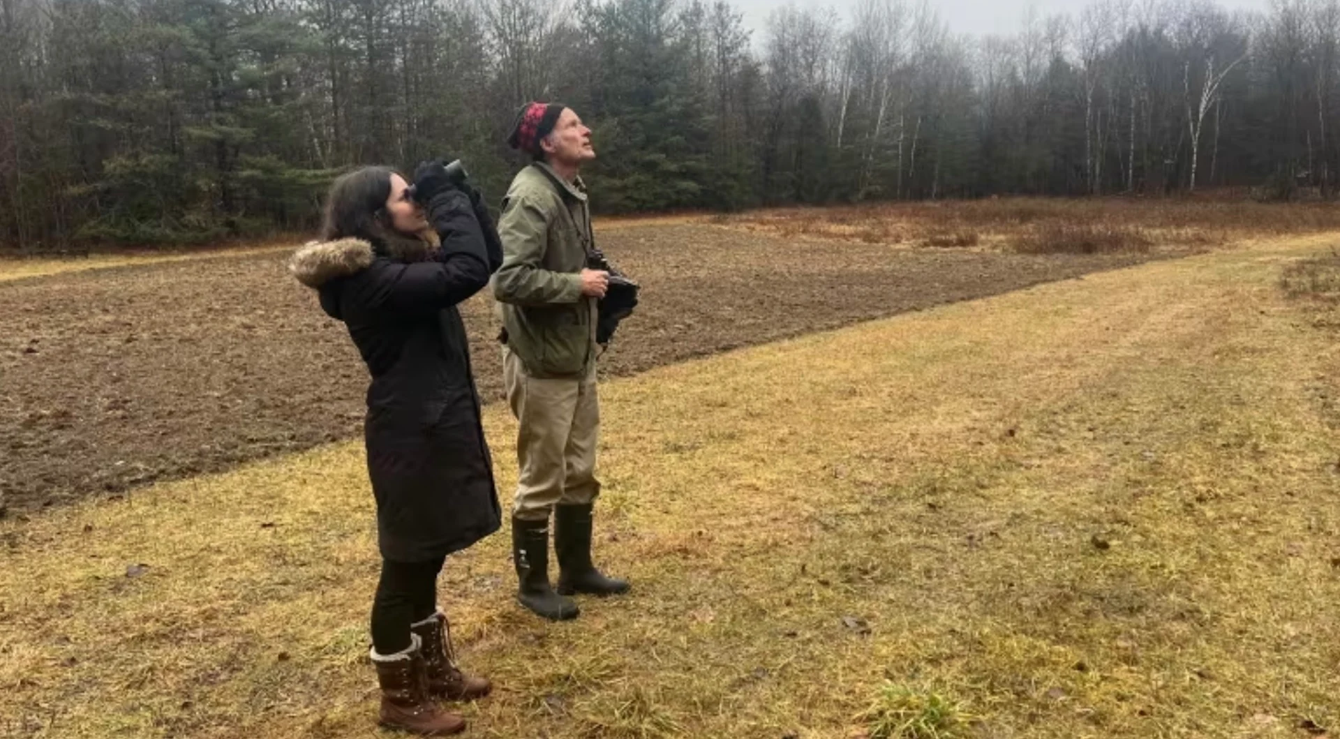 How a winter bird count became an important tool in tracking climate impacts