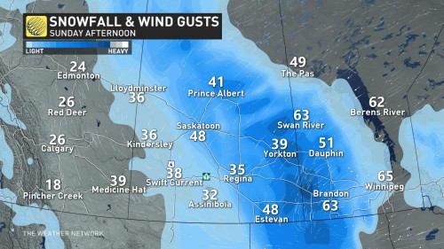 Treacherous travel likely as widespread winter storm blankets the Prairies  - The Weather Network