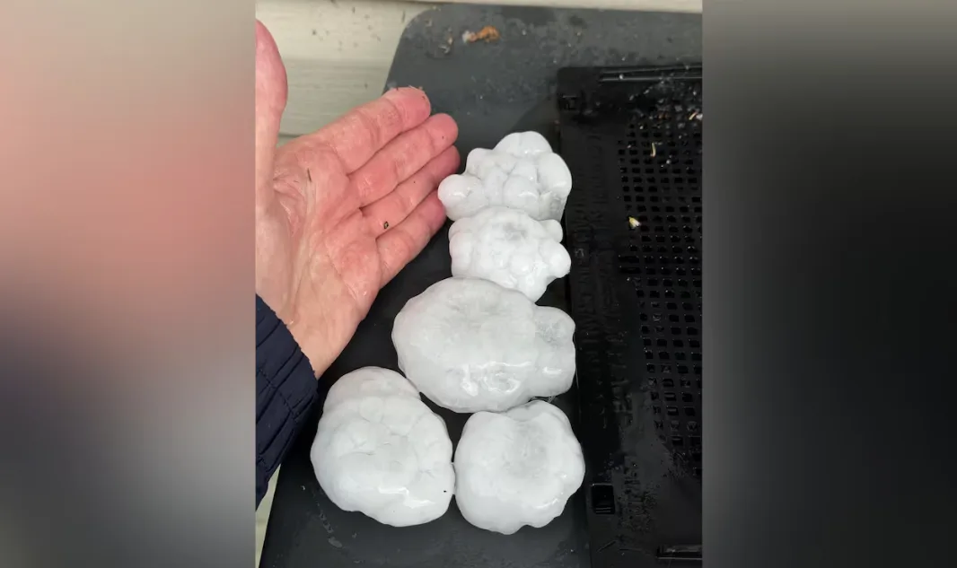 CBC - Sanford Manitoba hailstones - Submitted by Cameron Crump