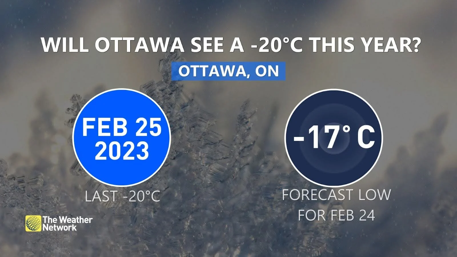 Ottawa -20c forecast update Feb 22 2024