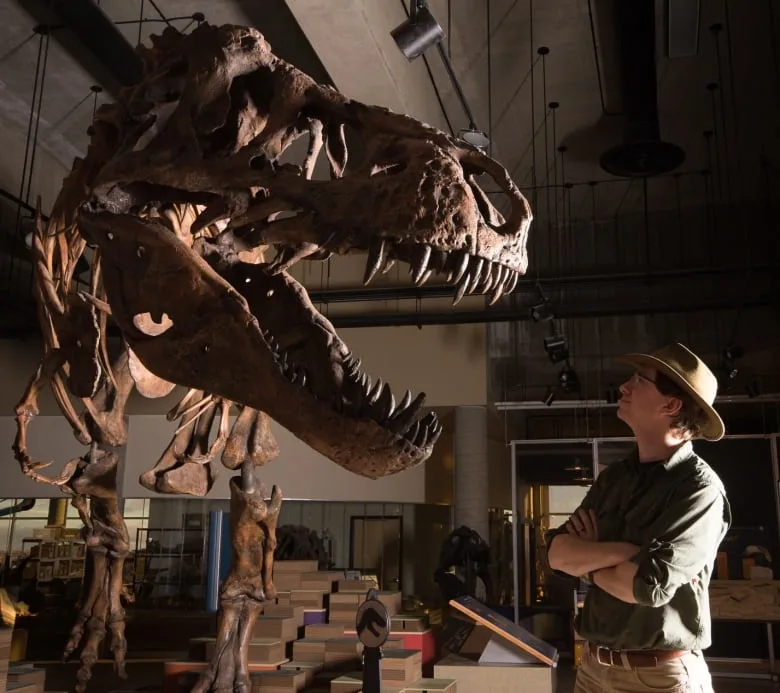 scotty-worlds-biggest-t-rex-found-with-researcher-scott-persons