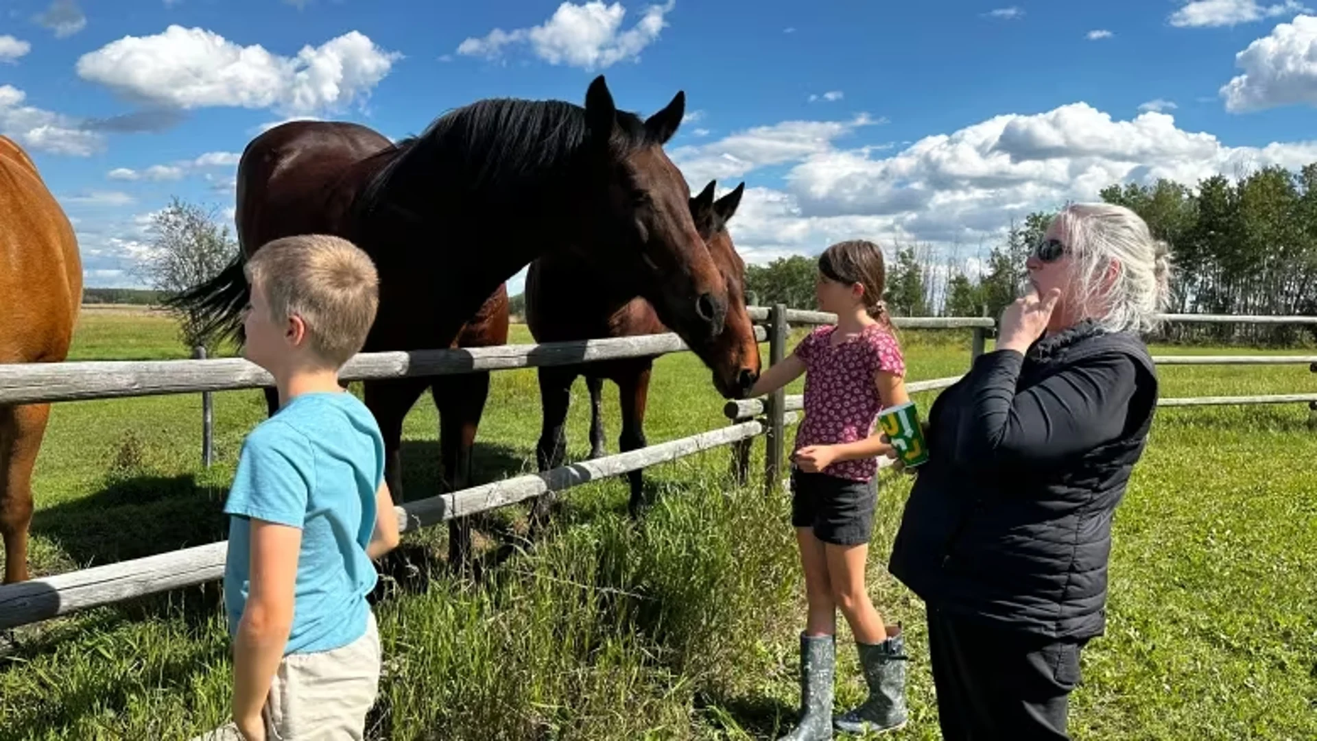 N.W.T. wildfire evacuees find respite at northern Alberta ranch