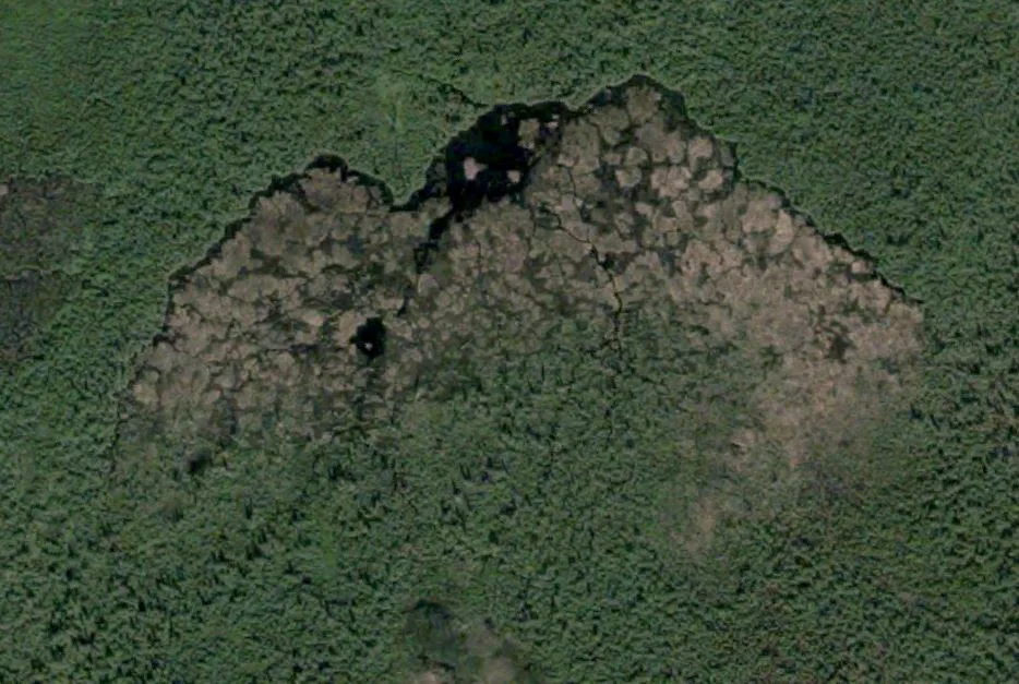 The largest beaver dam on Earth can be seen from space