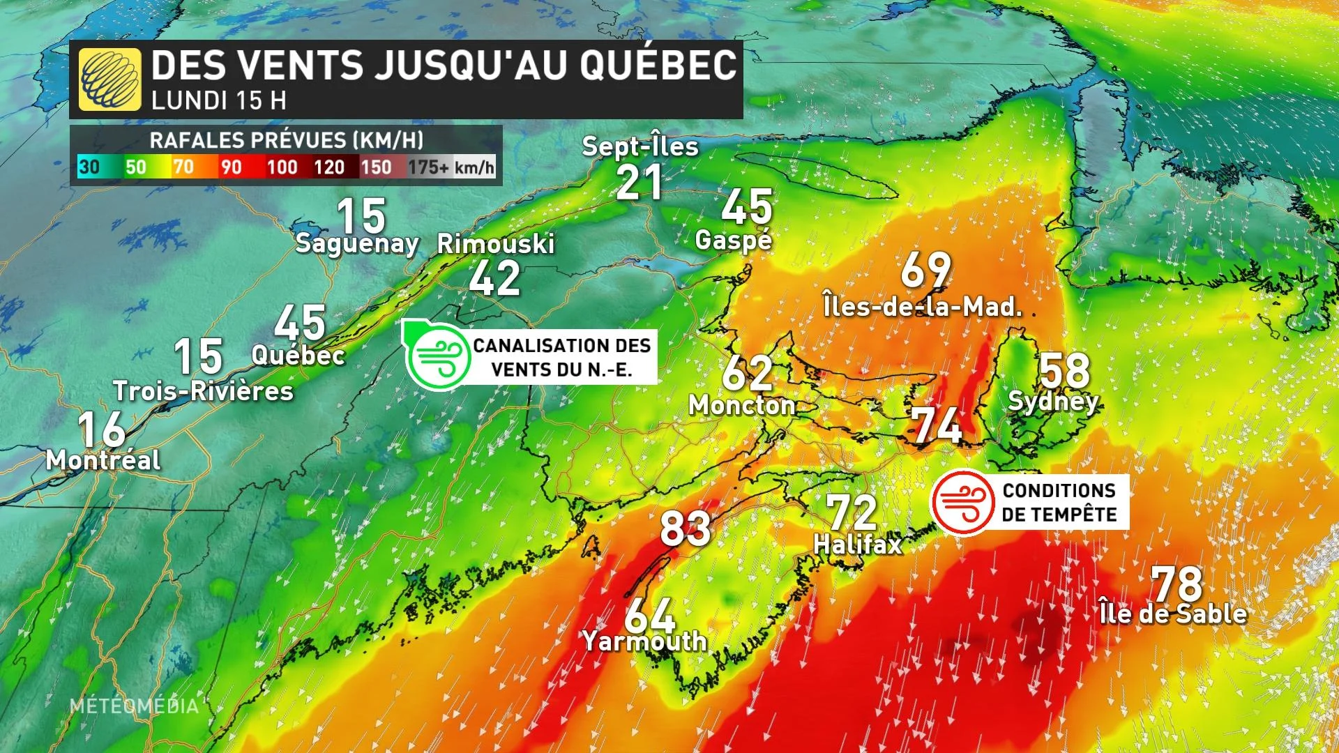 MARITIMES 3