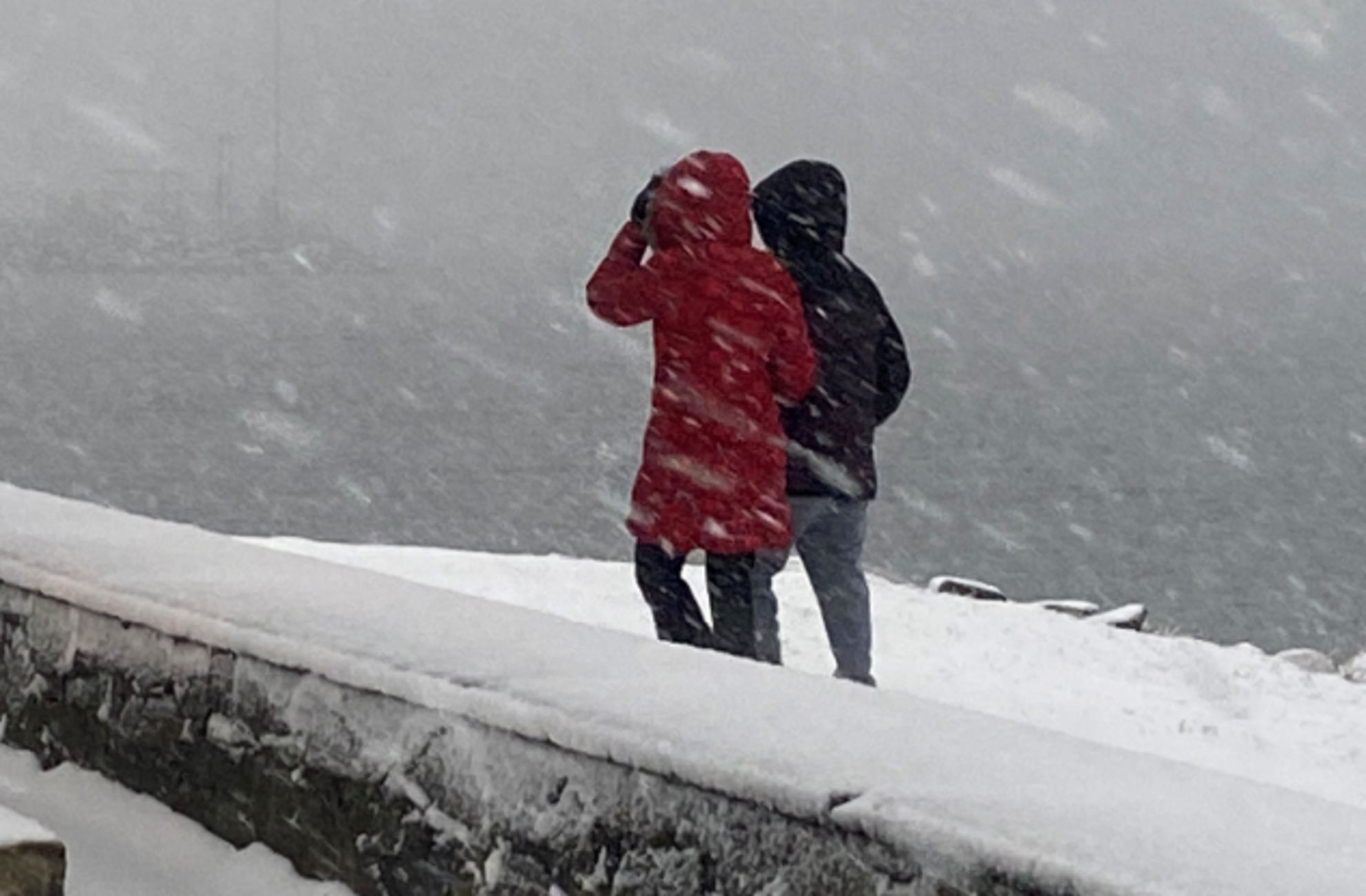 Photos: Messy winter storm blankets parts of Newfoundland - The Weather ...