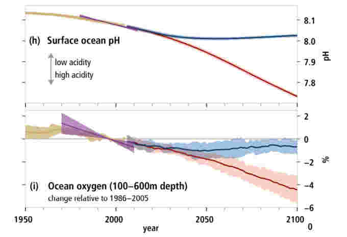 Ocean-pH-oxygen-IPCC