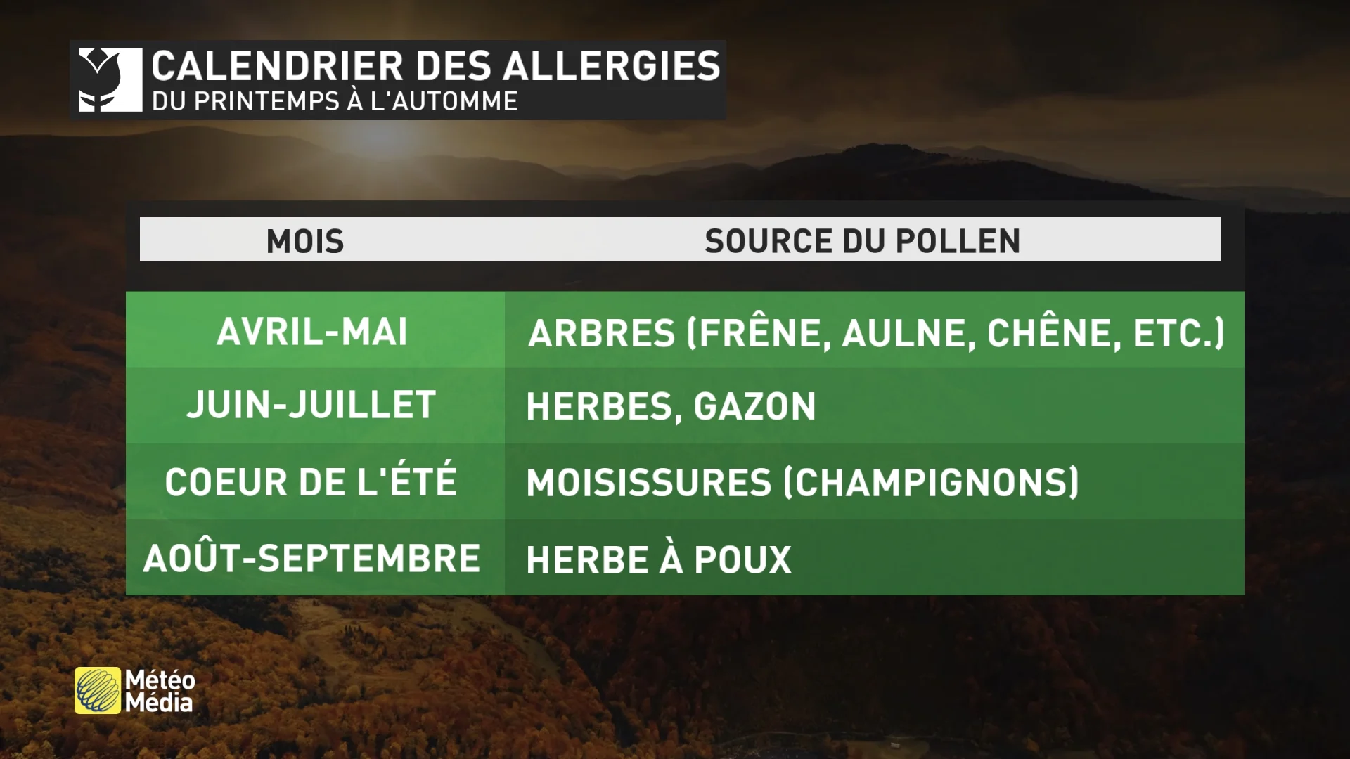 ALLERGIE1