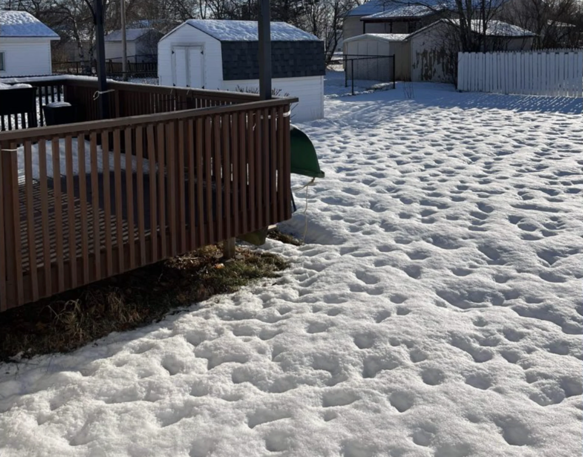See random 'snow holes' on your lawn? Here's what's causing them