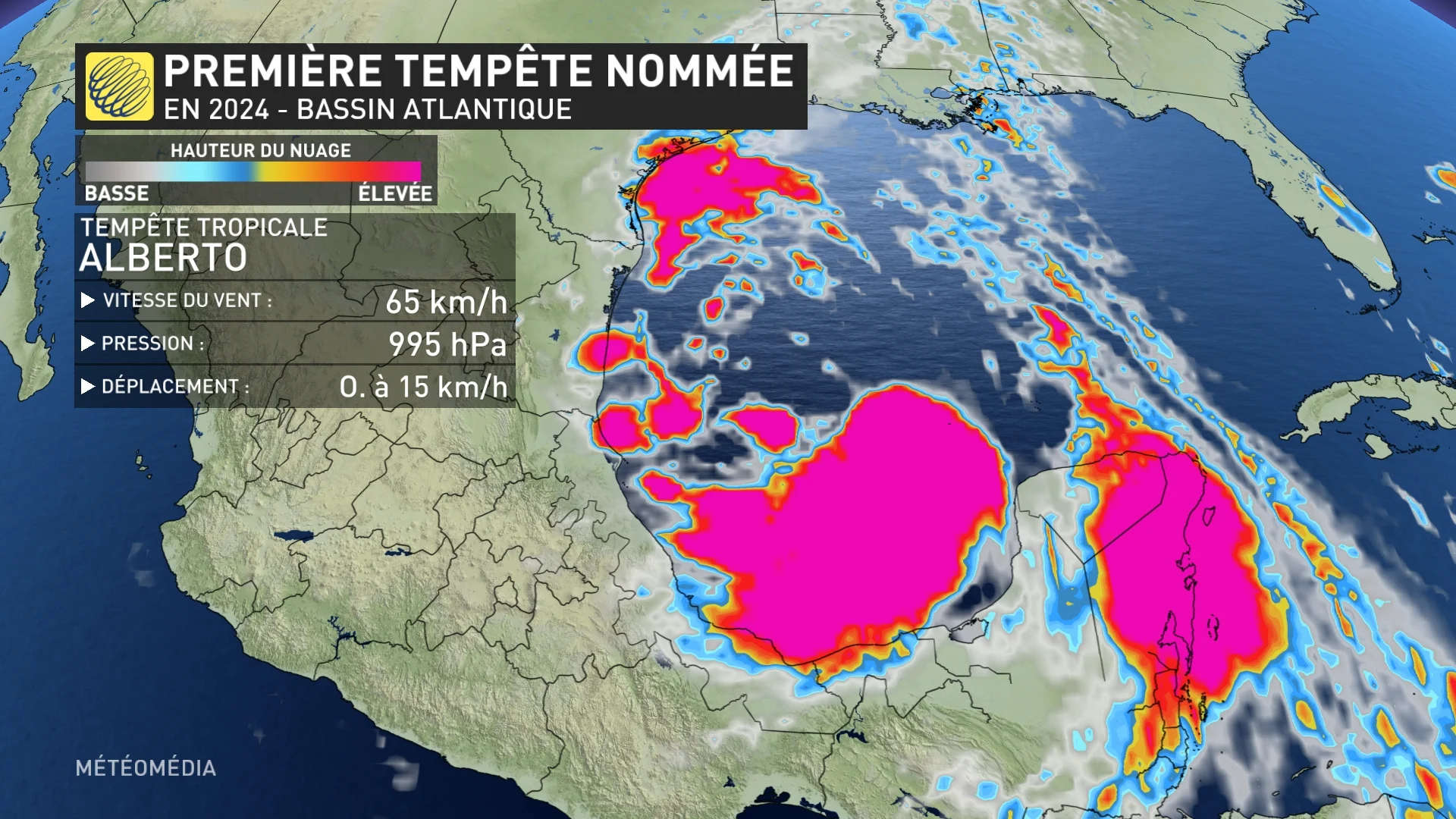 ALBERTO1