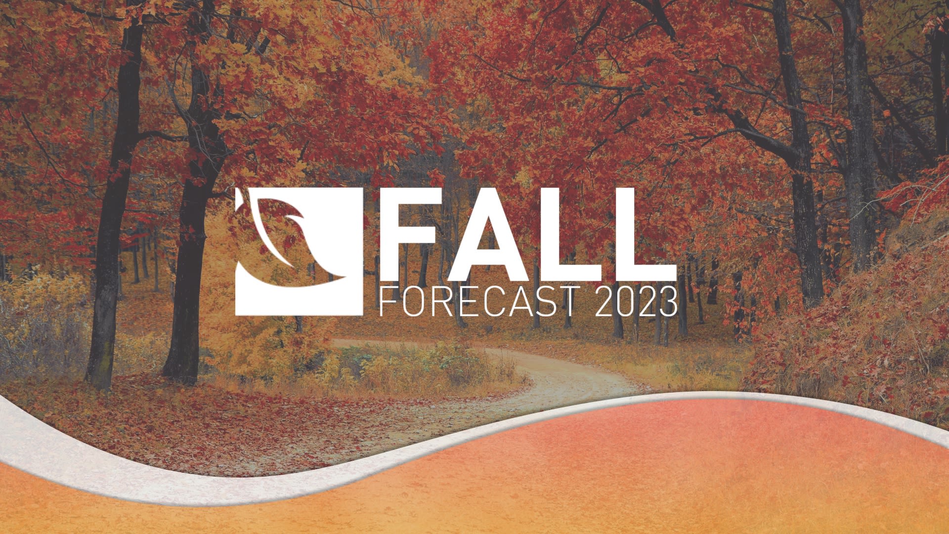 A fickle fall: Strengthening El Niño triggers a two-faced season - The ...