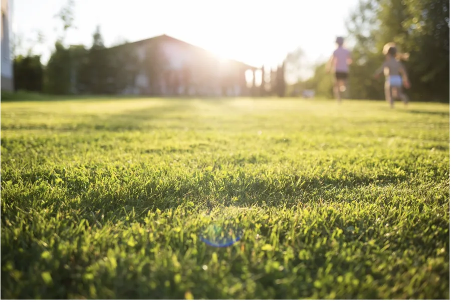 Getty Images: Green lawn, spring, sunshine, grass