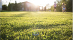 Set your lawn up for success this spring with 5 simple steps
