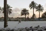 Phénomène rarissime : de la neige recouvre les palmiers à Bagdad