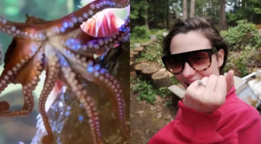 CBC - Octo
