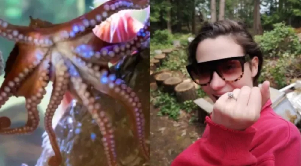 Baby octopus helps woman find lost engagement ring in the ocean