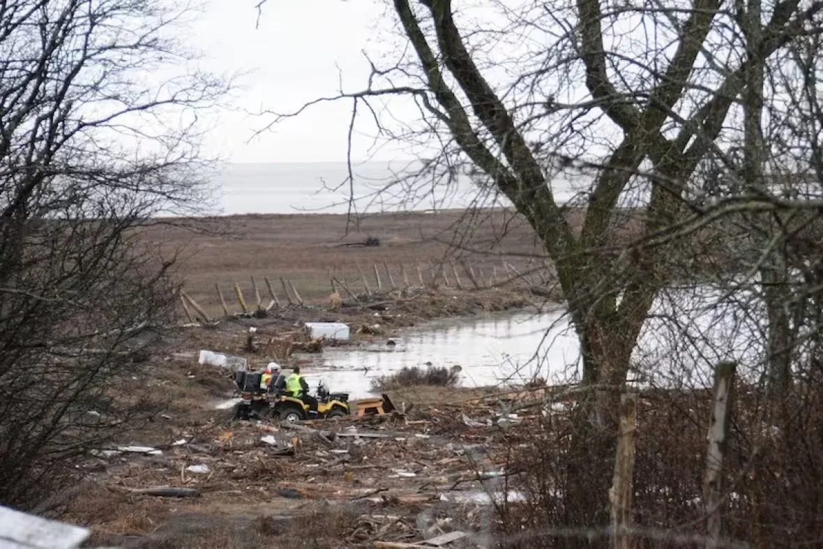 searching/Camille Carpentier/Radio-Canada