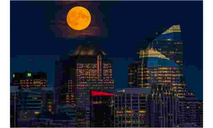 ugc calgary full moon