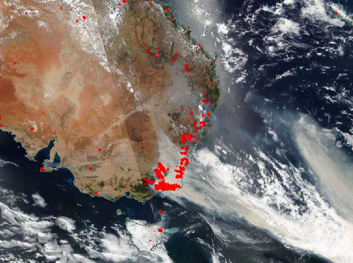 Plankton bloom larger than Australia caused by the country's 2019-2020 fires