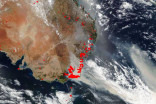 Plankton bloom larger than Australia caused by the country's 2019-2020 fires
