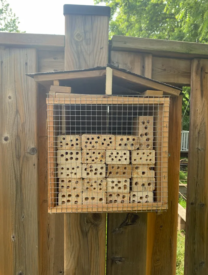 A homemade bee hotel (Anika Beaudry/TWN)