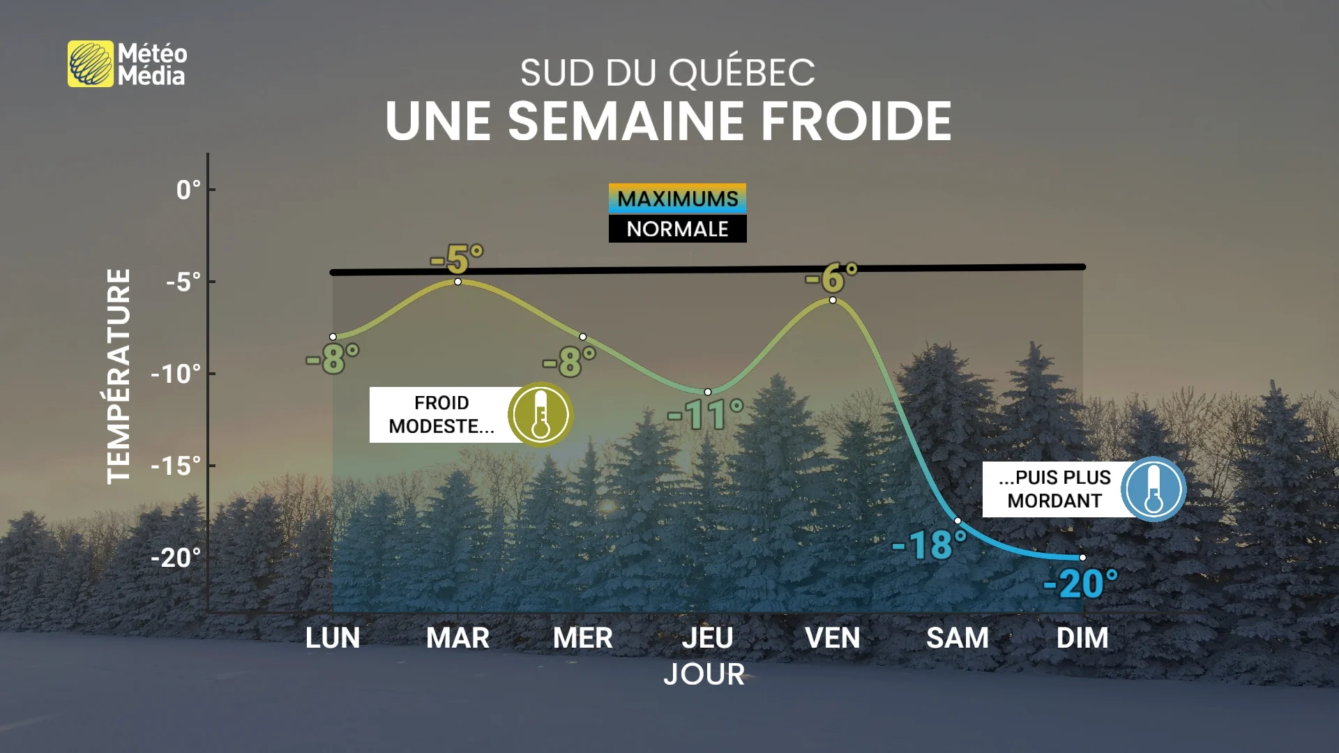 Froid mordant : un répit avant le grand retour