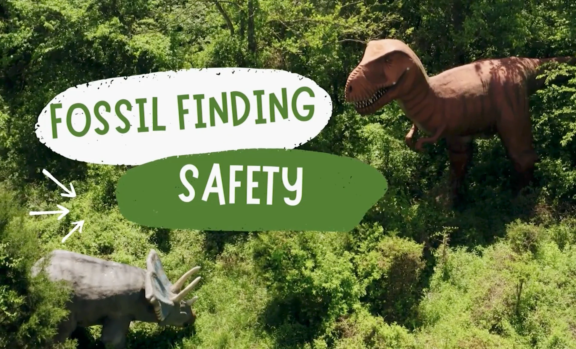 Mia Gordon: Dinosaur fossil hunting safety