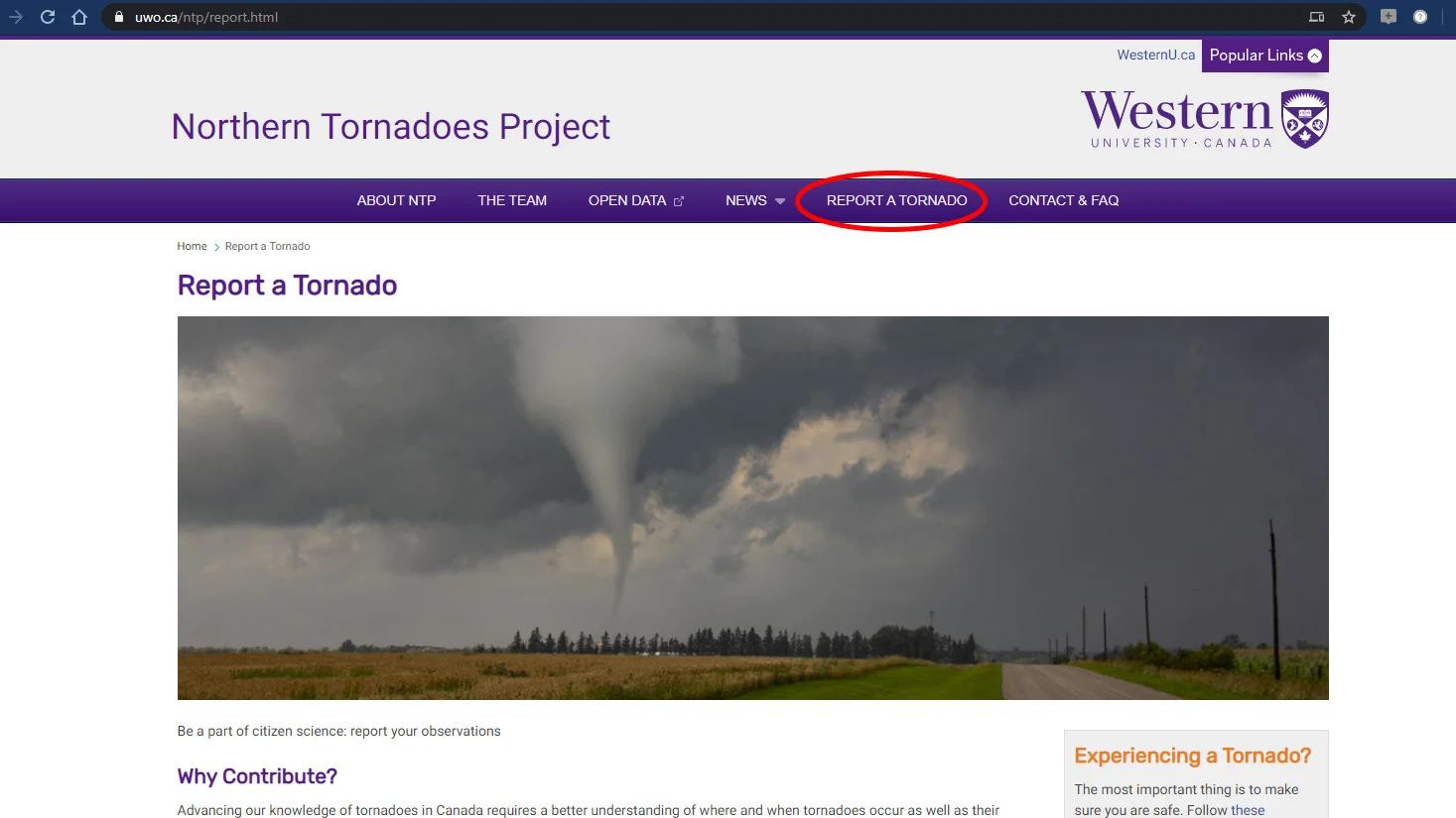 NTP-Report-Tornado-1