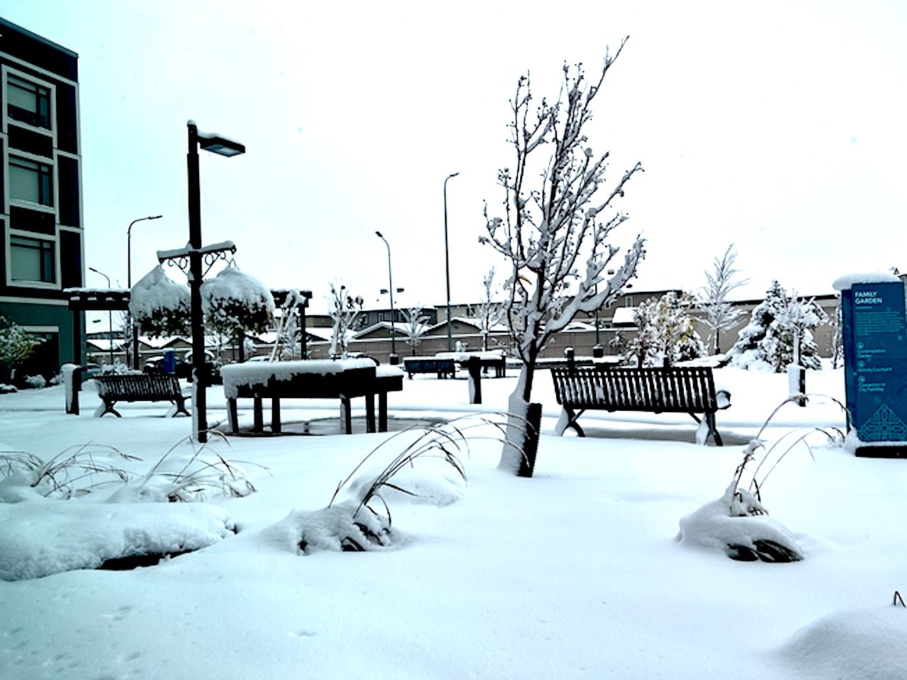 PHOTOS: Major city hit with Canada's first hefty snowfall of the season ...