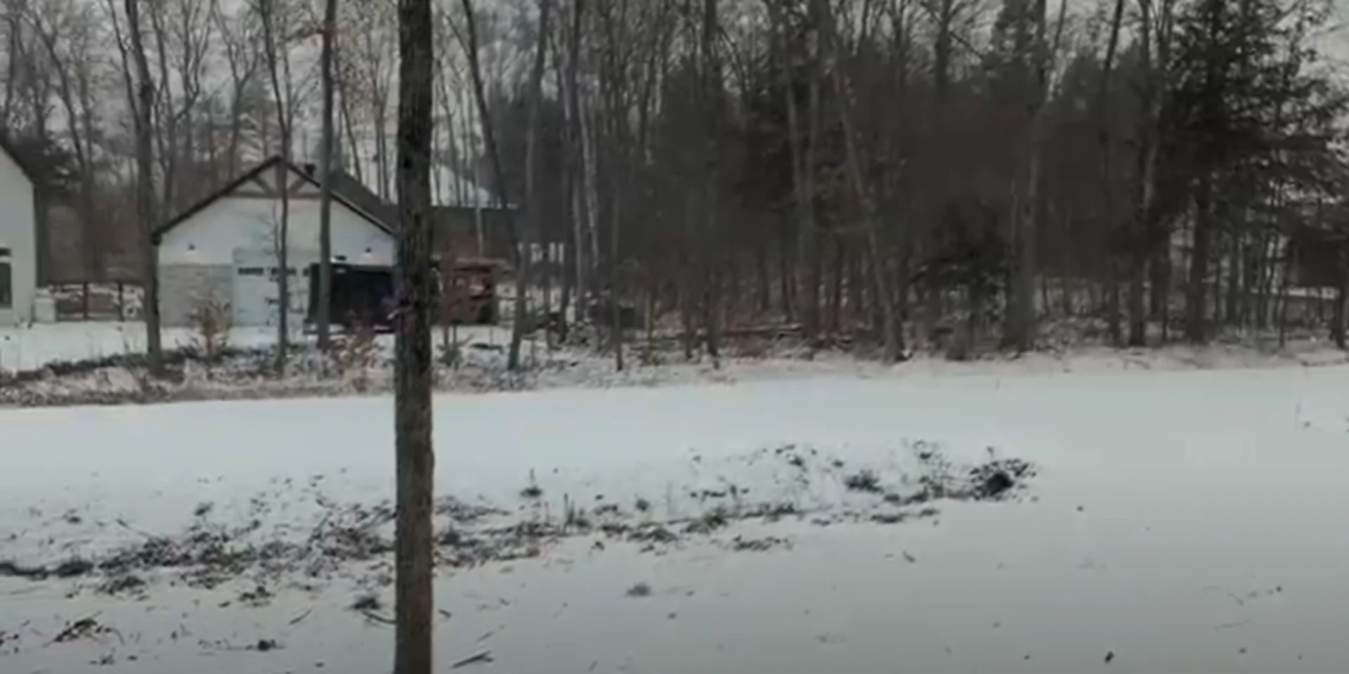 Neige de jeudi : voyez qui va la garder