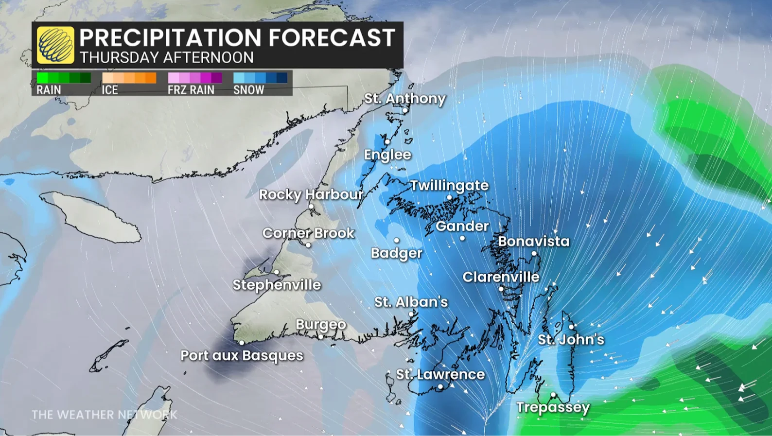 Rain, Cold, Winter, Boxing Day, Newfoundland, December 24, 2025. (The Weather Network)