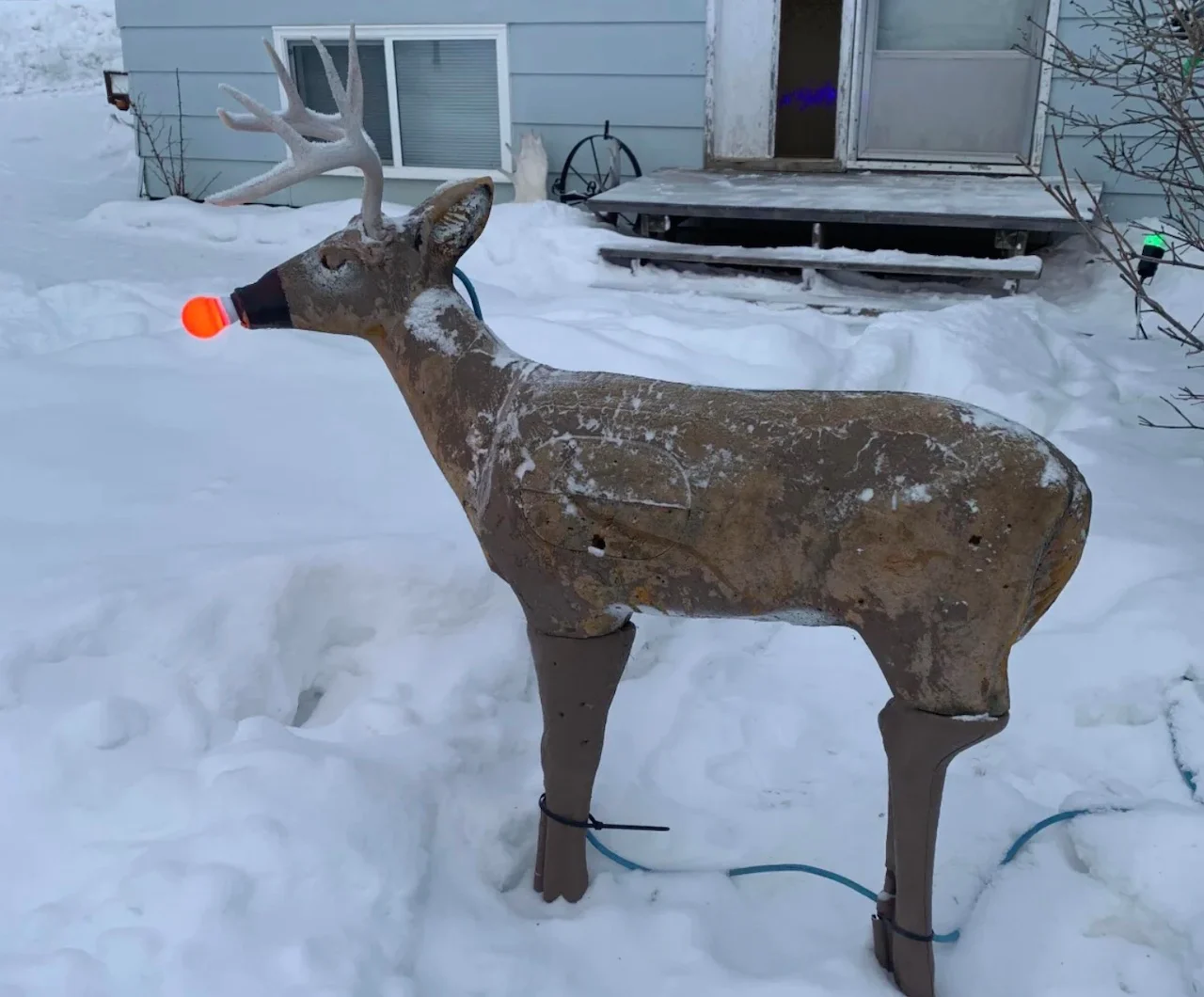 Rudolph decoration/Submitted to CBC/Arlene Chmelyk