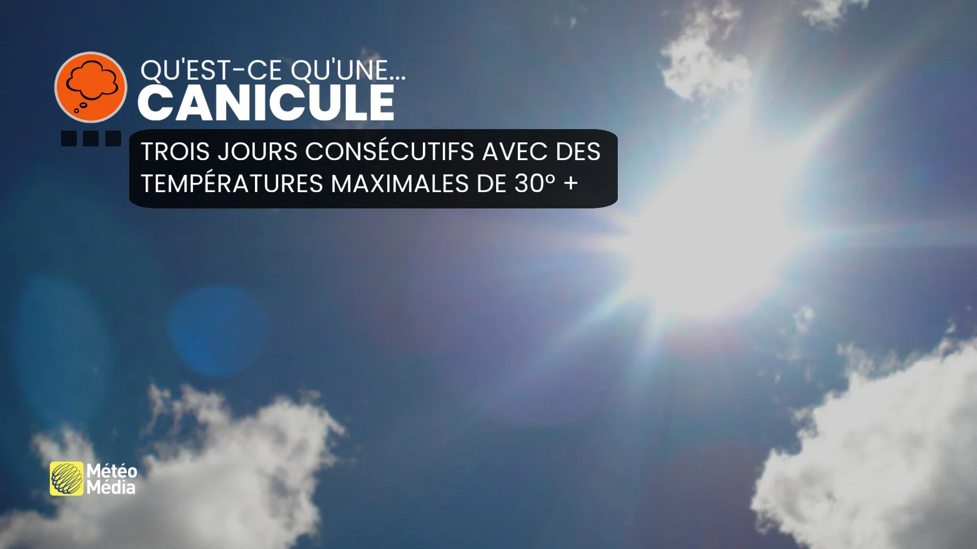 CANICULE 1