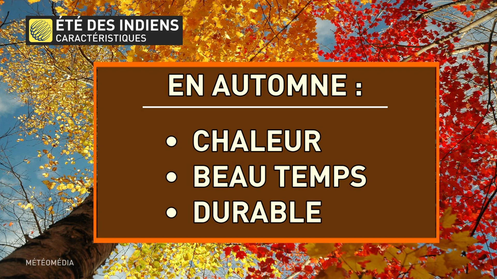 caracteristiques été des indiens